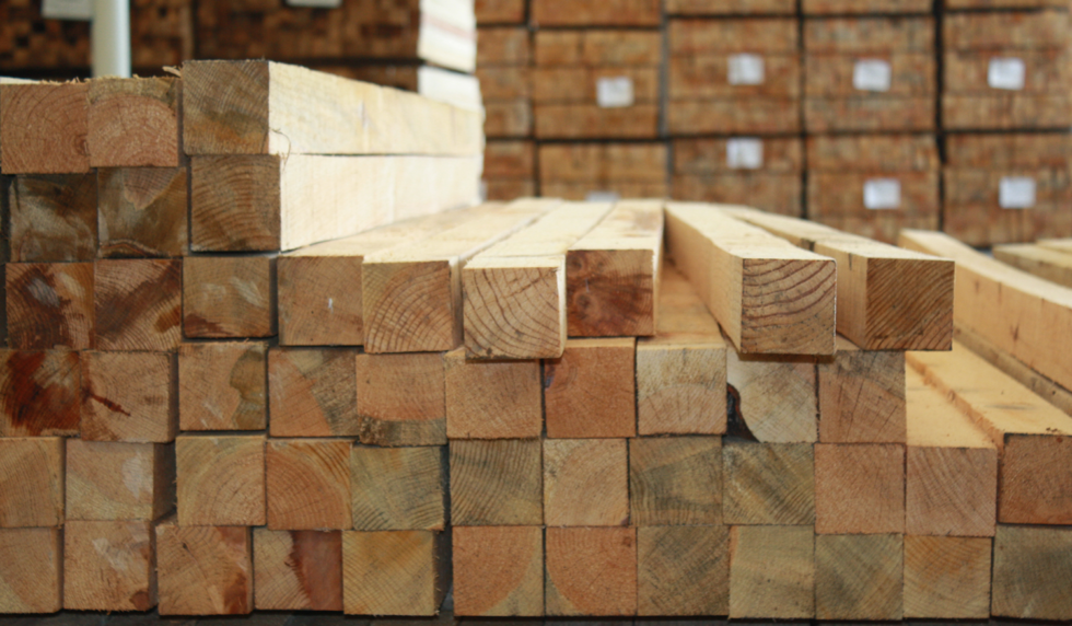 categoría madera para construcc